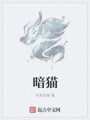 暗猫