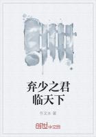 弃少之君临天下
