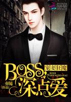 神秘Boss,请节制