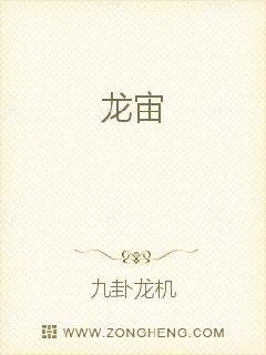 龙宙