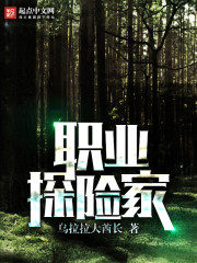 职业探险家