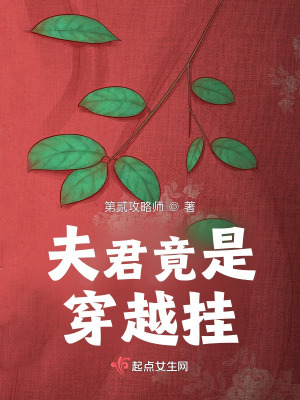 夫君竟是穿越挂!