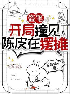 盗笔:开局撞见陈皮在摆摊