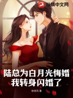 陆总为白月光悔婚,我转身闪婚了