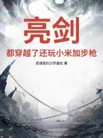 亮剑:都穿越了还玩小米加步枪?