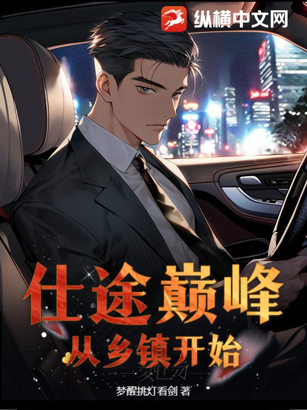 仕途巅峰:从乡镇开始