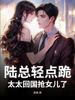 陆总轻点跪,太太回国抢女儿了